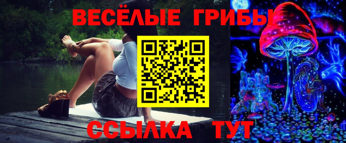 Псилоцибиновые грибы Cubensis Новотроицк